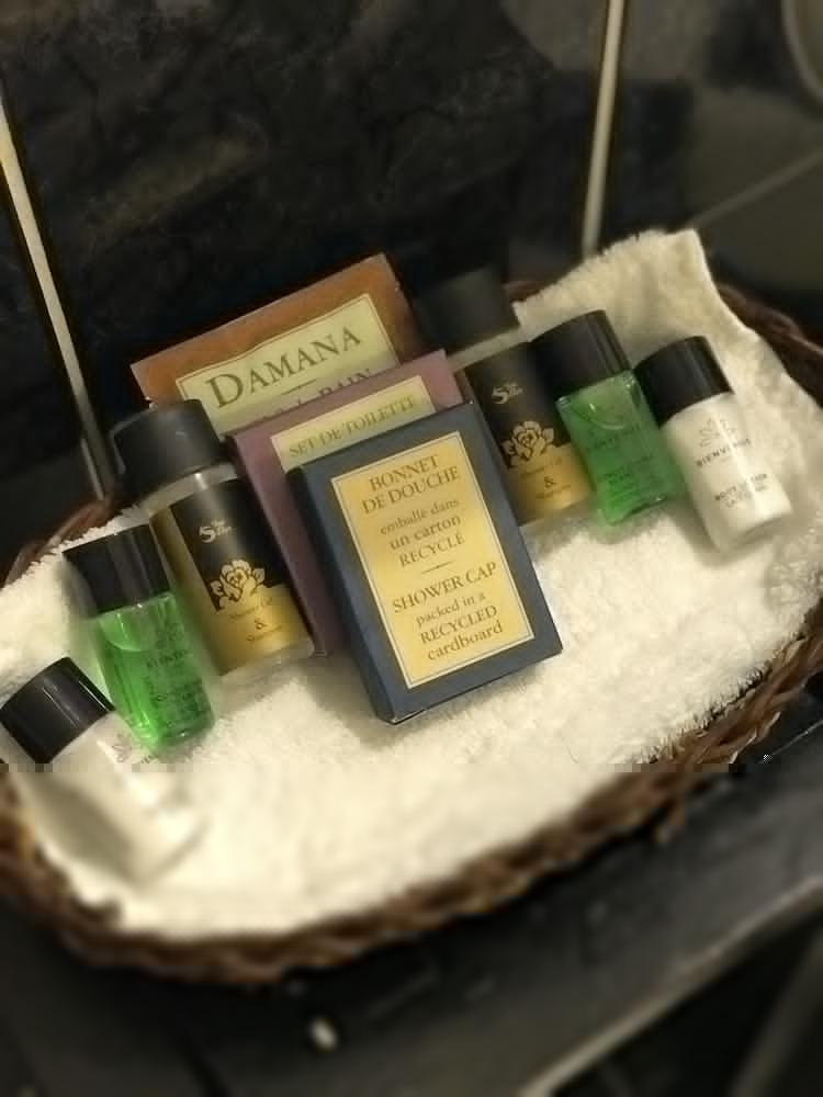 Hotel U Zlatého Stromu 4*